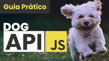 Como Consumir APIs com JavaScript: Exemplo Prático com Dog API
