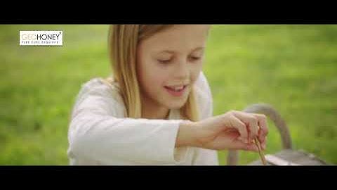 Honeycomb- All You Need To Know!!