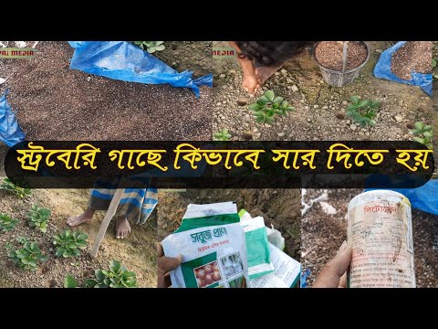 ভিডিও: ব্যাংকনোট 