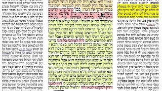 הדף היומי מסכת מעילה דף ב Daf yomi Meilah daf 2 שמואל נבון Shmuel Navon