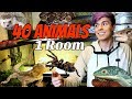 Animal Room Tour In My New House! | 40 Animals in 1 Room