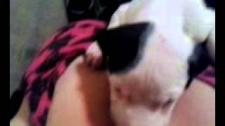 Vid20131110203922.3Gp