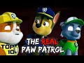Top 10 Terrifying Paw Patrol Urban Legends You Should Pray Aren't Real