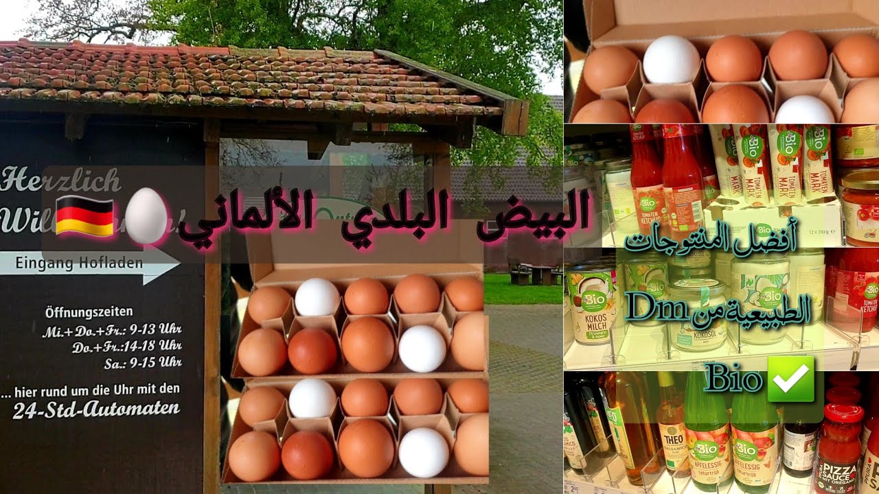 أفضل بيض البلدي الألماني🥚Bio ✅ من المزرعة الدجاج🐓 منتوجات طبيعية جد مهمة من Dm💫