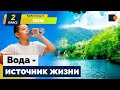 Вода-источник жизни. Окружающий нас мир