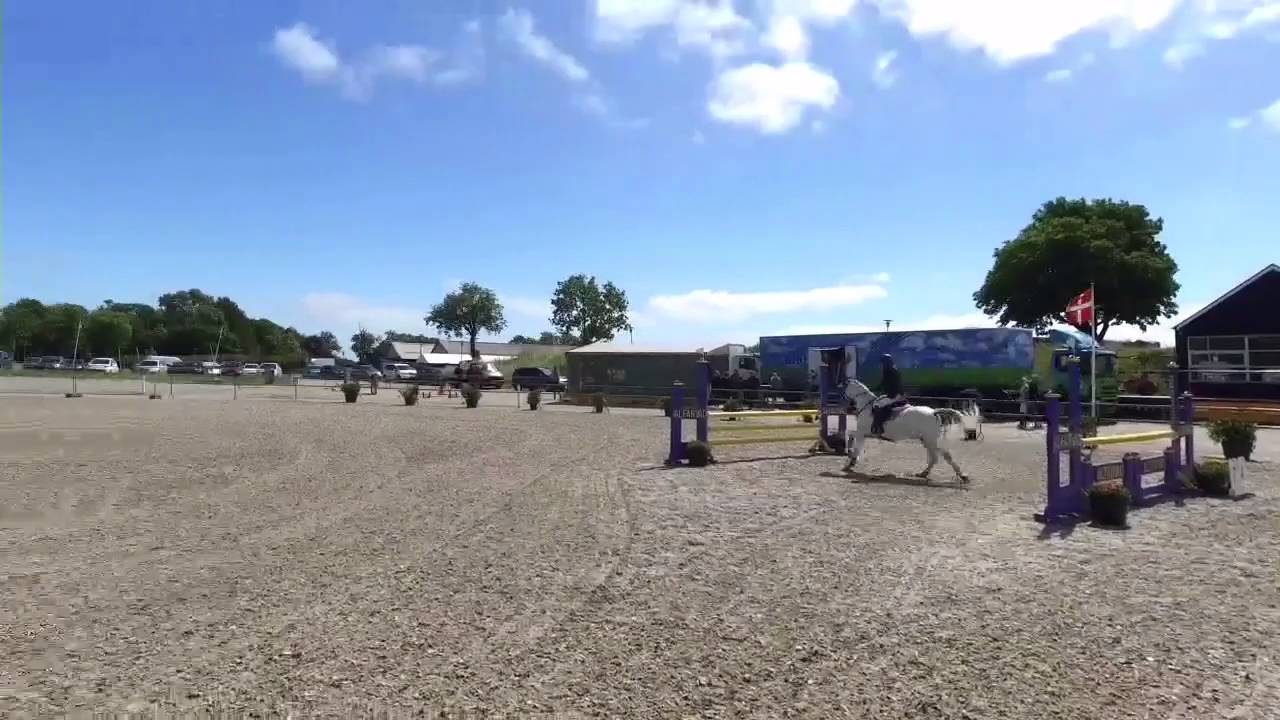 Sneakpeak - DM i springning for ponyer og children 2016