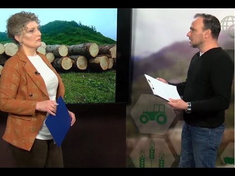 რა ვადით და რა პირობით შეუძლია სახელმწიფოს ტყეების გასხვისება