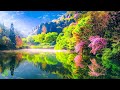 Relaxing Music For Nerves 🌿 Calming Music, Healing Music For The Heart, And Blood Vessels