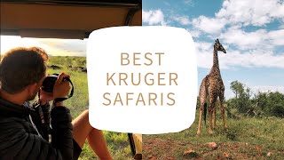 Best Kruger Safaris - Budget, Times and Needs