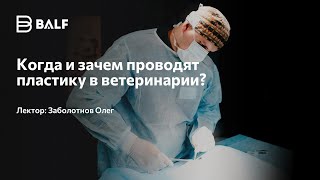 Когда и зачем проводят пластику в ветеринарии?