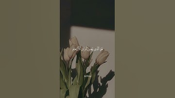 عبد الرحمن مسعد..سورة آل عمران..🕋#اسلاميات #دينية #قرآن