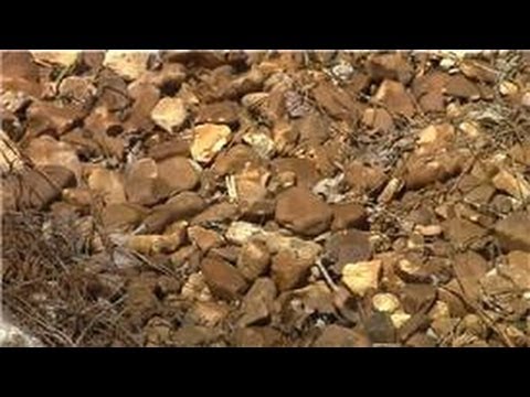 Vidéo: River Rock Mulch Landscape Ideas - Conseils sur l'aménagement paysager avec des roches et des cailloux