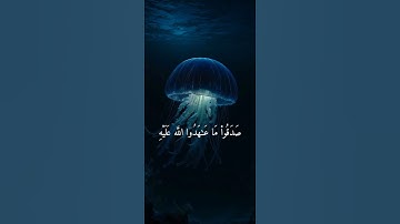 تلاوة عطرة للقارئ بدر التركي ارح سمعك #قرآن #راحة_نفسية