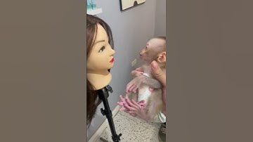 monkey is scared 😅😅😅😅😅 #animals #baby