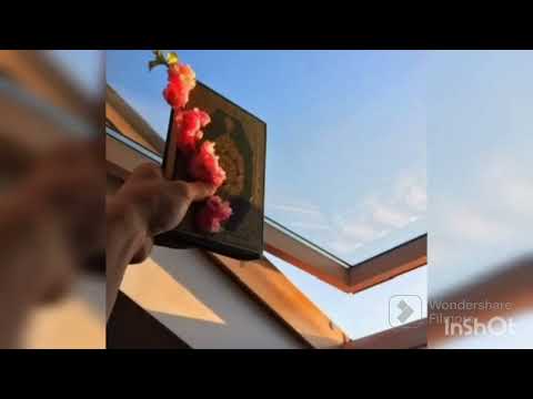 الأنشودة الحزينة مرت علي جنازة