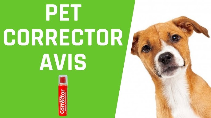 How to use a Pet Corrector in dog training 