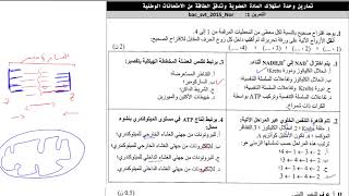 QCM استهلاك المادة العضوية وتدفق الطاقة | تمارين في العضلة الهيكلية