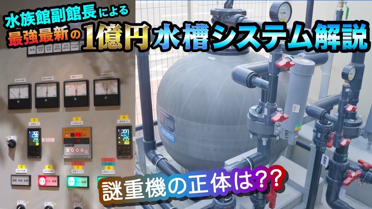 1億円水槽のシステム解説！水族館副館長が丁寧にご説明します！ - YouTube