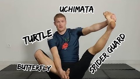 BJJ flexibility follow along class | 6 Jiu-Jitsu problems - 1 solution 30min