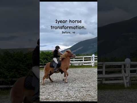 1year horse transformation