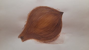 Object drawing | Coconut elementary intermediate grade exam