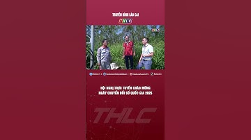 Hội nghị trực tuyến chào mừng Ngày Chuyển đổi số Quốc gia 2025 | THLC