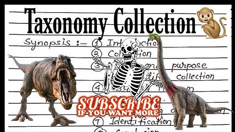 Taxonomy collection msc 1st sem notes