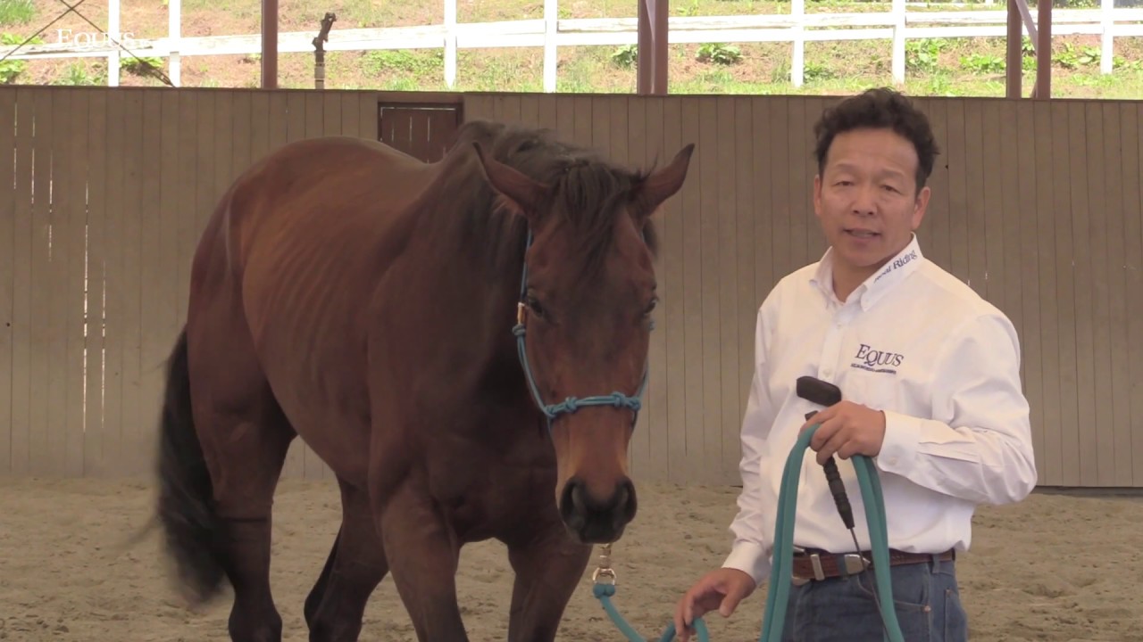 サラブリ エバービクトリアス01