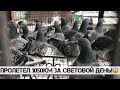 Спортивные голуби г. Селидово. В гостях у Баркова А.А. (0506461702)