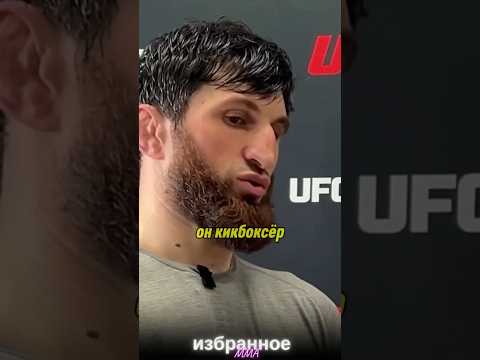 Магомед Анкалаев | Опасность Перейры только в левом хуке #ufc313 #mma #ankalaev #alexpereira