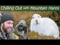 Chilling Out with Mountain Hares | Wildlife Photography & Wild Camping | Nikon Z7 + 500mm f/5.6E PF