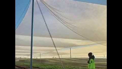 Smart innovation - these nets collect condensation at night to water crops