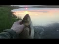 Рыбалка в Коми на реке Вычегда с ночевкой - ловля язя на фидер