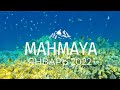   mahmaya egypt 2022