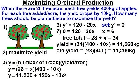 Calculus 1: Max-Min Problems (14 of 30) Maximizing Apple Orchard Production
