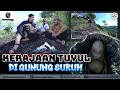 KERAJAAN TUYUL DI GUNUNGSURUH