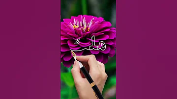 اسم ملك 