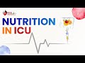 Webinar on nutrition in icu