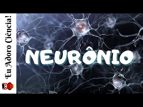 Vídeo: As células endócrinas são um tipo de célula nervosa?