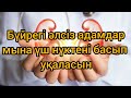 Бүйрек ауруларының белгілері | Буйрек емдеу жолдары  | Бүйрек ауруы