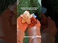 Creating flower clips of different colors for different outfits ✨️ #crochet #crocheting #fypシ゚viral
