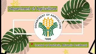 Crop Forcing