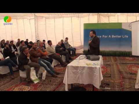 تسميد الموالح بالنيتروجين أهميته وضرره وأعراض نقصه والأسمدة الأزوتية