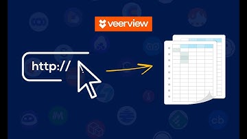 How To Get Emails and Contact Data From Just Company Name and Domains with Veerview