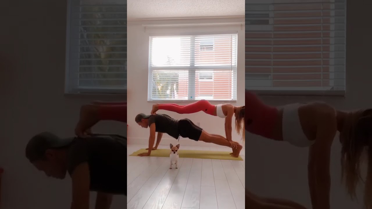 Clomidol ��������� ����������: ����.