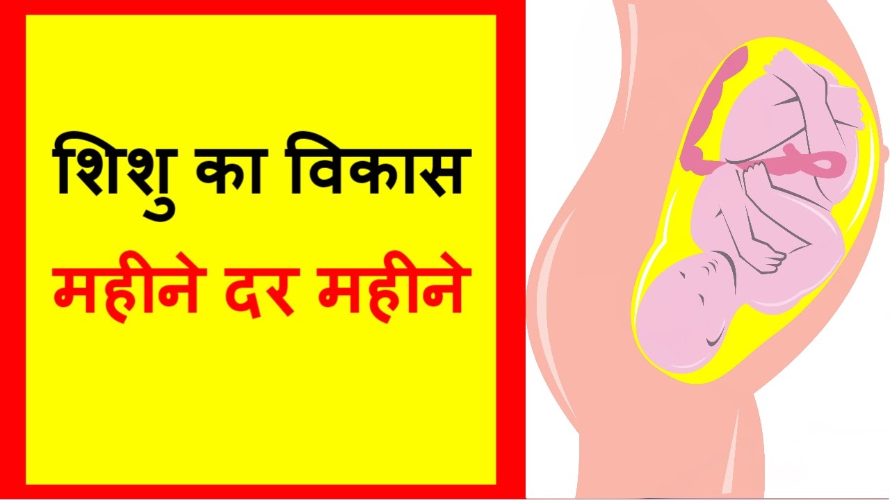 Baby Growth Chart During Pregnancy In Hindi