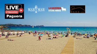 🌞 Live Webcam Paguera Beach 4K UHD 24/7 #Livestream #Mallorca #Balearics #beach