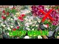 В LEROY MERLIN Орхидей БОЛЬШЕ НЕТ ❗