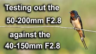 Ist das 50-200mm F2.8 so viel besser als das 40-150mm F2.8? Ist es den Aufpreis wert?