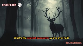 What's the scariest encounter you've ever had?